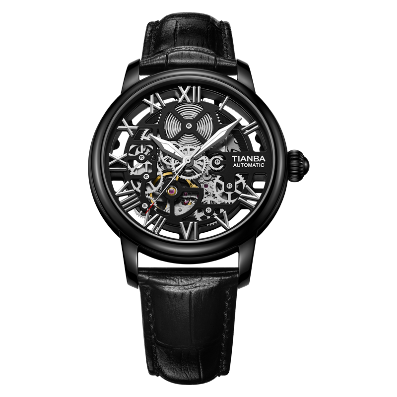 Skeleton Mechanical Watches for Men Exposed Gear Movement - Alain Carnet Watch